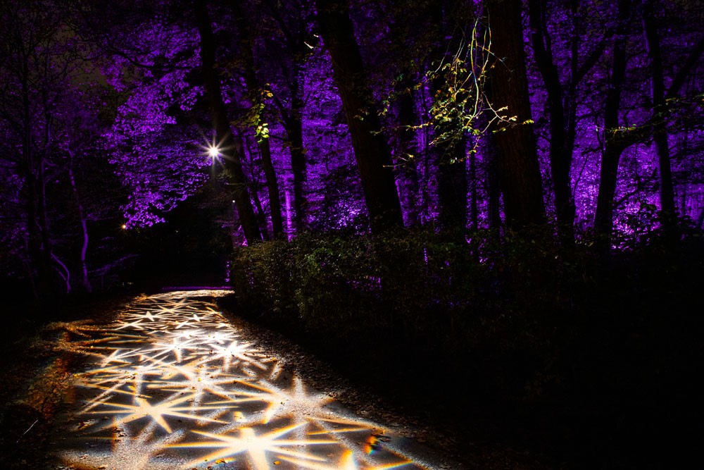 Illuminight With Lidl 2019 1 Star Walk Credit Lloyd Smith