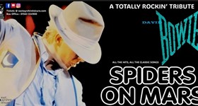 Spiders on Mars, a Tribute to David Bowie - Stewarton Area Centre