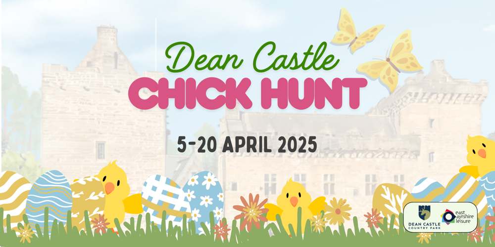 DC Chick Hunt Banner