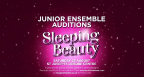 Panto Ensemble Auditions