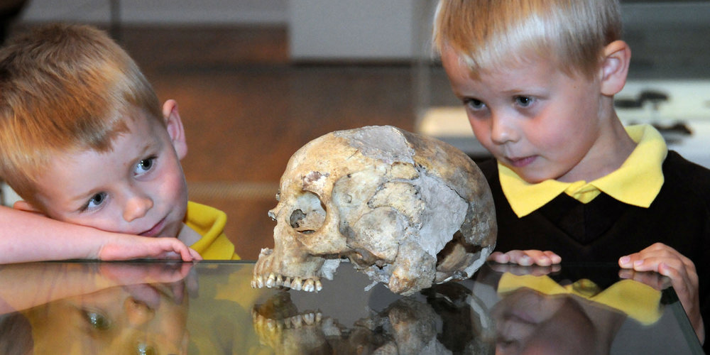 Skull