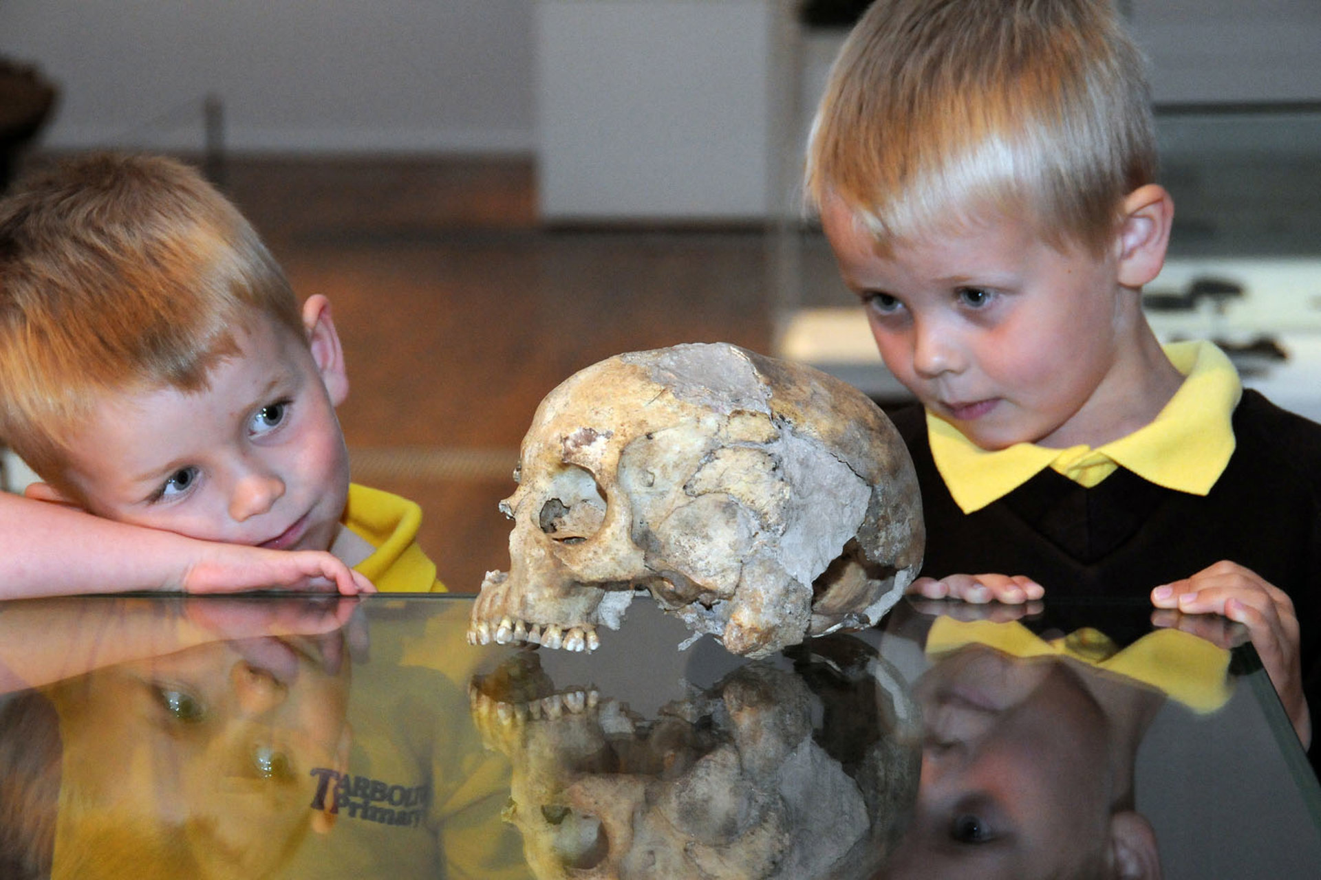 Skull