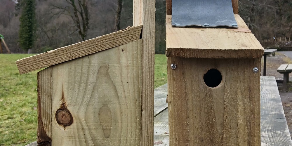 Bird Box Build