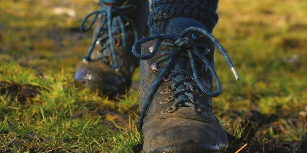 Walkfest